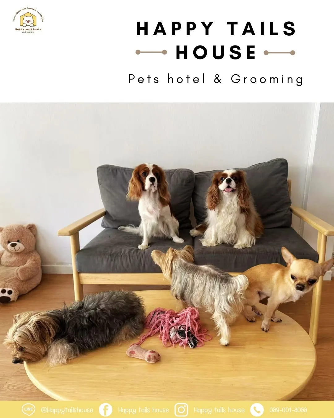 ภาพจริงของ Happy tails house Pet hotel & Grooming ย่านทองหล่อ จาก Google Maps